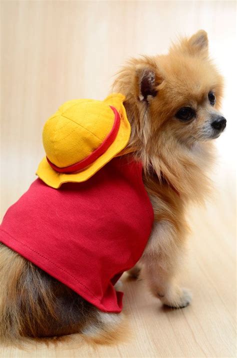 Luffy One Piece Dog Clothing by HachiCorp on Etsy, $35.00 | Pet costumes, Dog costumes, Anime dog