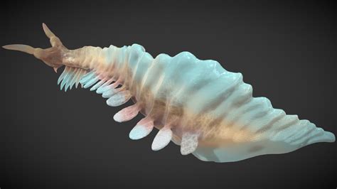 Cambrian Creatures Pikaia gracilens - Buy Royalty Free 3D model by haibo (@haibo545001) [82b23d8 ...