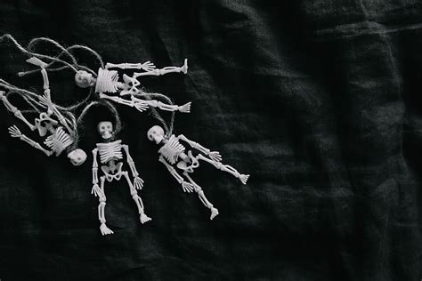 halloween, -, human, skeleton miniatures, toy, skull, spooky, october | Piqsels