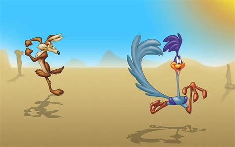 Wile E Coyote, cartoon, funny, HD wallpaper | Peakpx