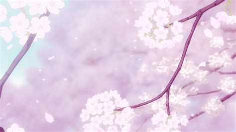 cherry blossom gifs | Tumblr