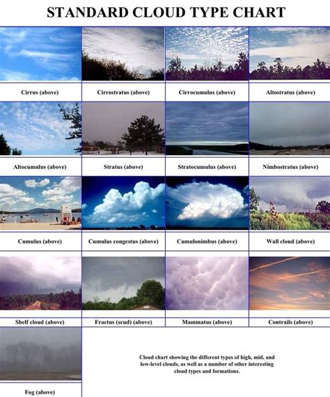 Cloud chart | Weather and climate, Clouds, Weather science