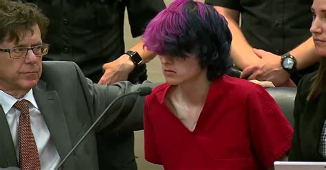 Suspect in STEM School shooting makes first court appearance