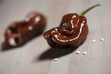 Chocolate Habanero Guide: Heat, Flavor, Uses