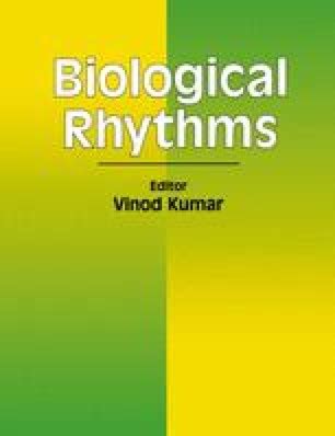 Ultradian Rhythms | SpringerLink