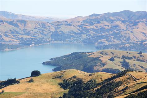 Land, Air, Water Aotearoa (LAWA) - Akaroa Harbour