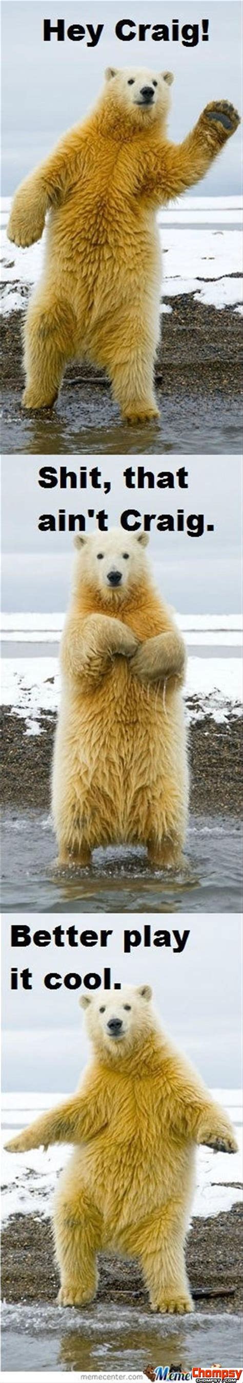 funny polar bears | Funny pictures, Bones funny, Funny animals