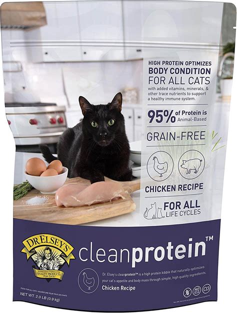 The Best Diabetic Cat Food in 2023 | PawGearLab