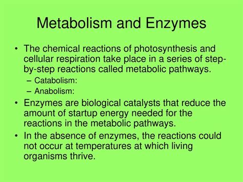 Topic 5.1: Matter and Energy Pathways in Living Systems - ppt download