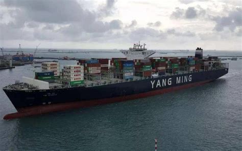 Yang Ming Marine Transport Has Jointly Inaugurated A Joint Venture ...