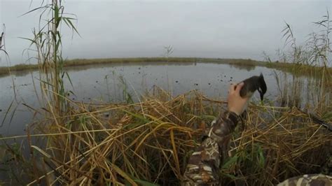 Marsh Duck Hunting - YouTube