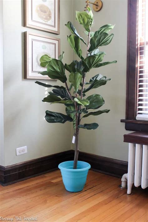 How to Make a Fake Fiddle Leaf Fig Tree Look Real - Average But Inspired