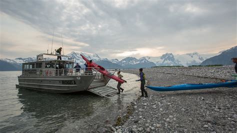 Guided Day Kayaking in Seward, Alaska | Miller's Landing