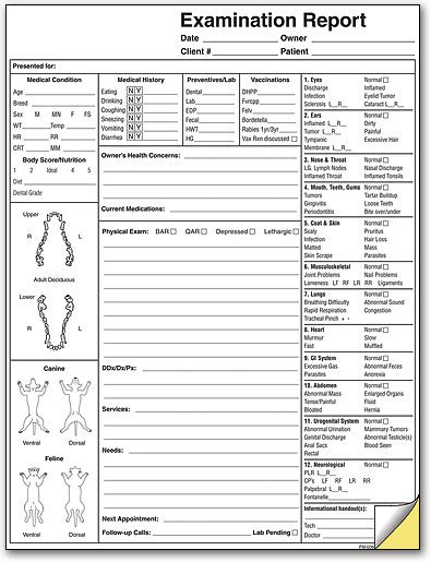 Pet Examination Report | SmartPractice Veterinary