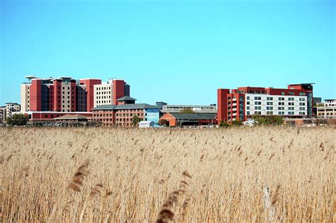 Wilmington View From Eagle Island Photograph by Cynthia Guinn - Fine ...