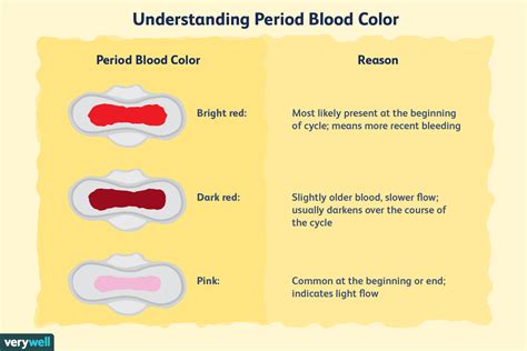 Wat de kleur van je menstruatiebloed zegt over je gezondheid - Med NL