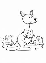 Cartoon Baby Kangaroo Coloring Page  Free Printable Pages sketch template