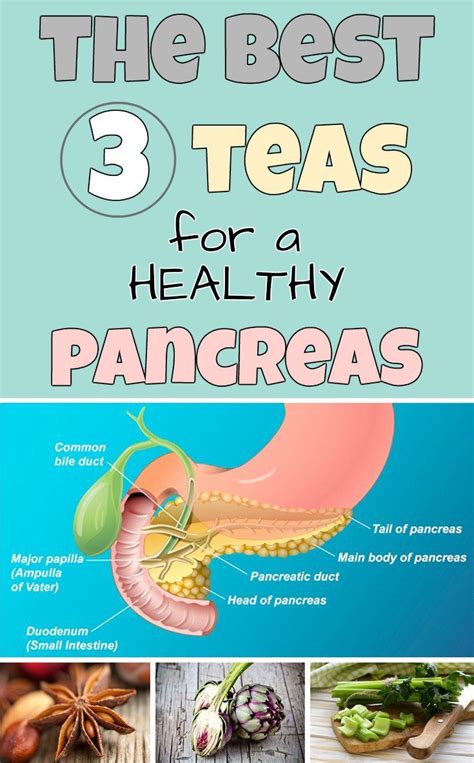 Please wait... | Pancreas health, Herbs for health, Pancreatitis diet