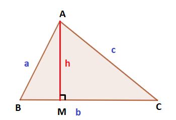 Altitude of scalene triangle - WTSkills- Learn Maths, Quantitative ...