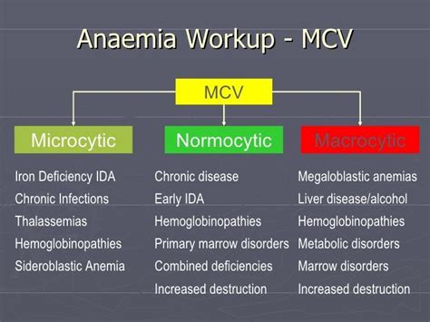 19 Images Anemia Lab Values Chart