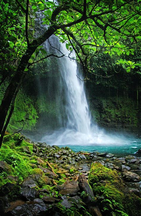 La Fortuna Waterfall Photograph by Carolyn Derstine | Fine Art America