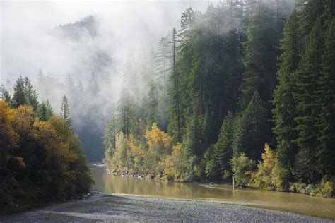 Humboldt Redwoods State Park