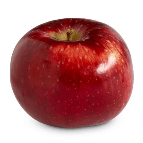 Ontario Apple Varieties - Types of Apples - OAG