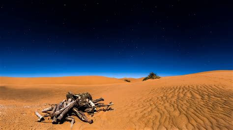 Sahara Desert 4K 8K Wallpapers | HD Wallpapers | ID #20245