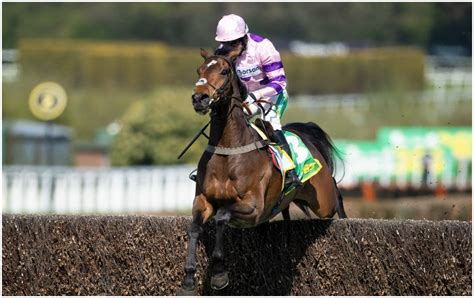 Racing: Sandown Finale | Punchestown Friday Saturday | Best Bets ...