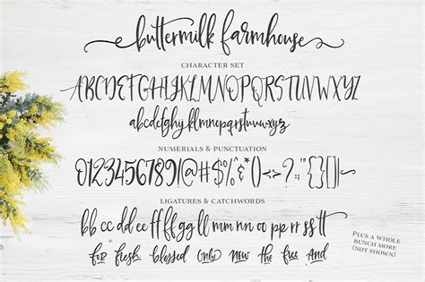 The Complete, Quality Font Collection: World Class Fonts | Farmhouse font, Rustic script fonts ...