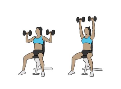 Seated dumbbell overhead shoulder press - GoFitnessPlan