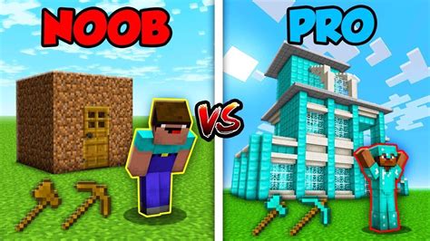 Minecraft Noob Vs Pro House - Margaret Wiegel