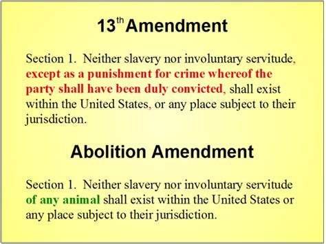 13th Amendment and Abolition Amendment Compared – Humane Party Images