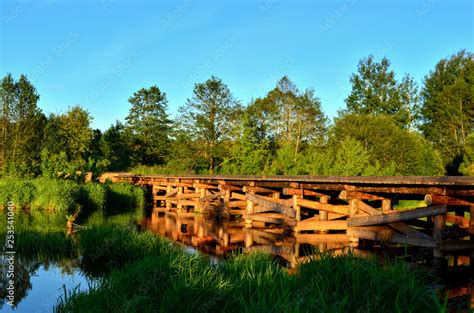 A wooden bridge of tree logs lies across a small river inside a wooded area among green nature ...