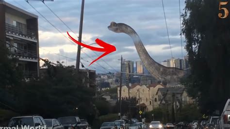 5 Dinosaur Caught On Camera & Spotted In Real Life! - Paranormal TOP 5 ...