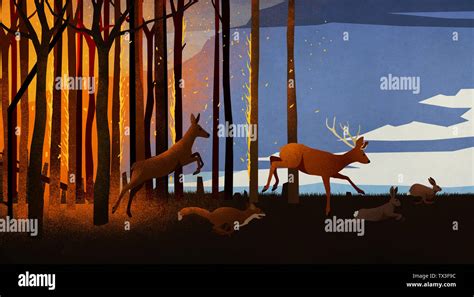 Forest animals running from forest fire at night Stock Photo - Alamy