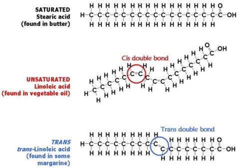 química orgânica - O que torna as gorduras trans mais nocivas do que as saturadas? - Troca de ...