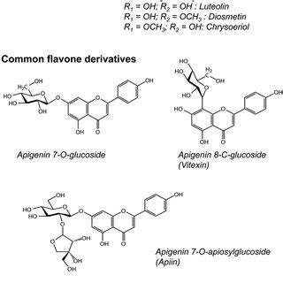 Structures of flavone aglycones and common flavone derivatives. | Download Scientific Diagram