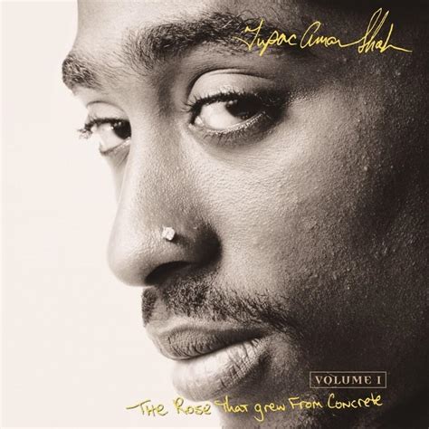 2Pac – The Rose That Grew From Concrete Lyrics | Genius Lyrics