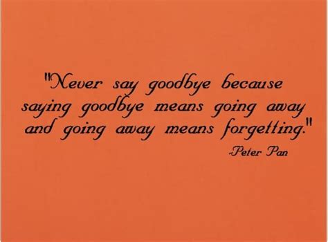 Never Got To Say Goodbye Quotes. QuotesGram