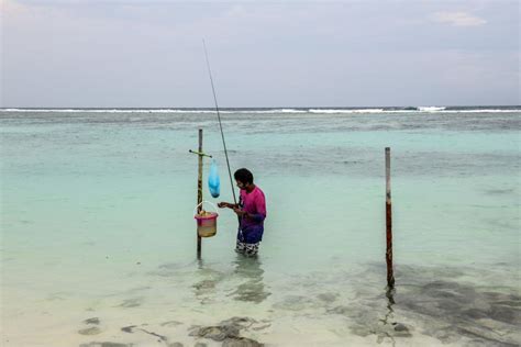 Island and coastal ecosystems vulnerable to the climate crisis: there is no more time