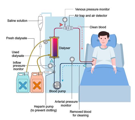 CBSE Class 10 Science Chapter 6 Life Processes Notes