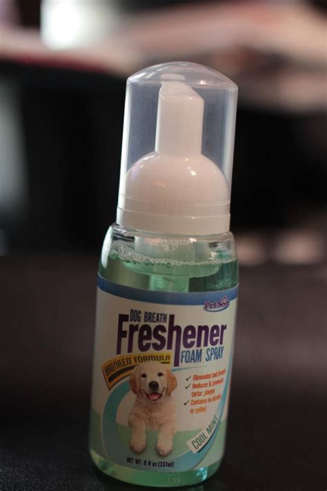 21 best images about Minty Fresh Dog Breath Freshener on Pinterest | Teeth cleaning, For dogs ...