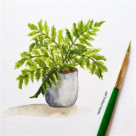 Boston fern plant watercolor illustration | Watercolor plants ...