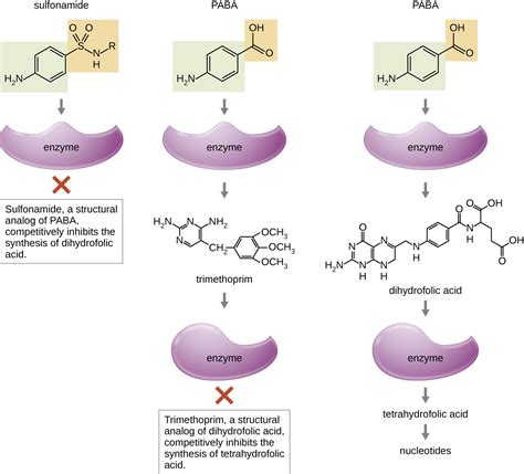 Mechanisms of Antibacterial Drugs | Microbiology