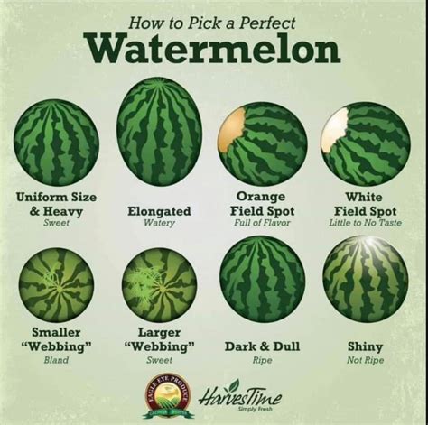 How to pick a perfect watermelon : r/coolguides