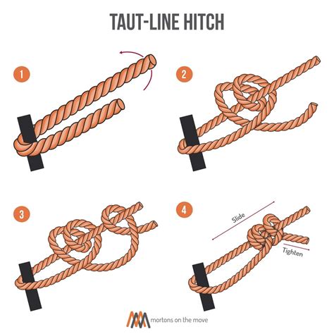 Knot Tying for Beginners: An Illustrated Guide To 6 Essential Knots