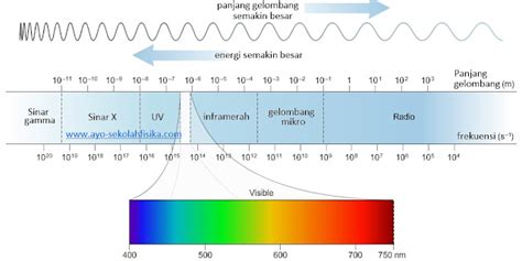 Spektrum gelombang elektromagnetik - Biology Page