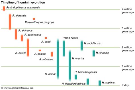 Paleolithic Age Timeline