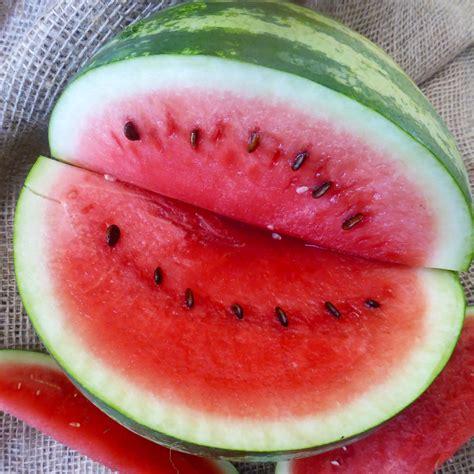 Watermelon, Black Diamond Annual Fruit Heirloom Seeds – Ferry-Morse